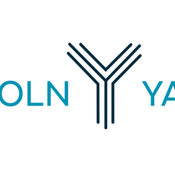 Lincoln Yards Logo
                  
