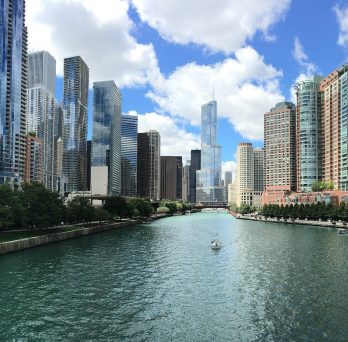 The Chicago River
                  