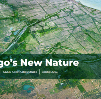 Chicago's New Nature: An Ecological Override Plan
                  