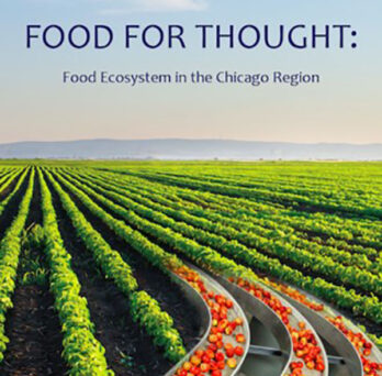Food for Thought: Food Ecosystem in the Chicago Region 