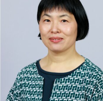 Ning Ai, associate professor of urban policy and planning 