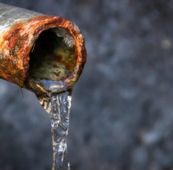 water flowing gently out of a rusty lead pipe.
                  